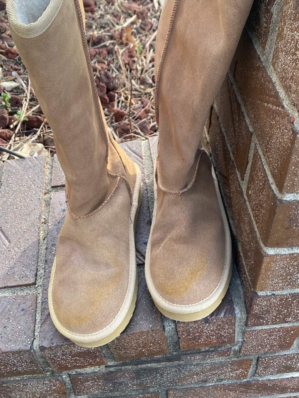 Skechers Women's Tall Suede Heeled Boots in Tan